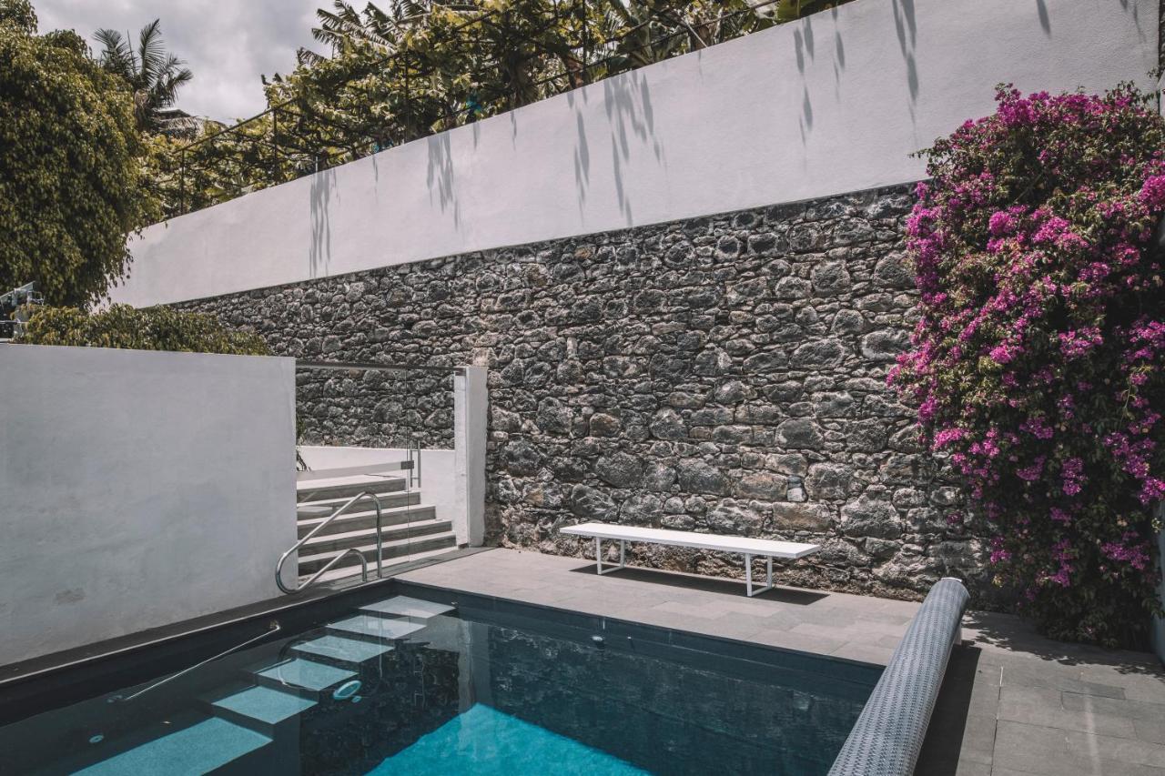 Torrinha Luxo Dream Wohnung Funchal  Exteriör bild